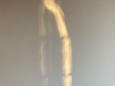 Soft morning light illuminating a peaceful practice space